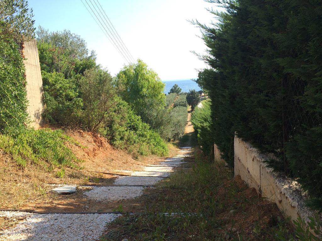 דירות גראקיני Kostas House חדר תמונה