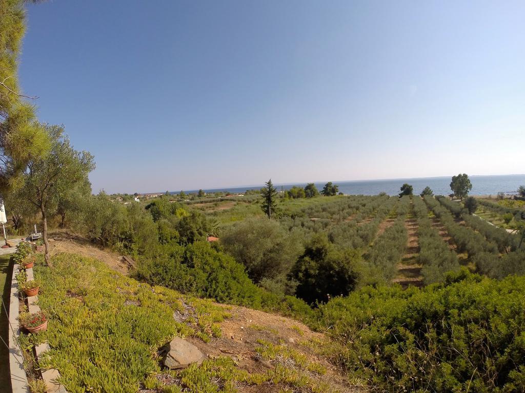 דירות גראקיני Kostas House חדר תמונה
